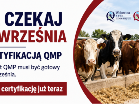 Certyfikacja w systemie QMP
