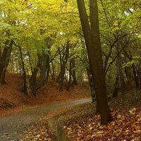 Lokalne Szlaki Rowerowe Doliny Karpia