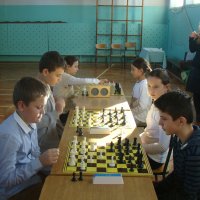 Zawody w szachach dla szkół podstawowych i szkół gimnazjalnych